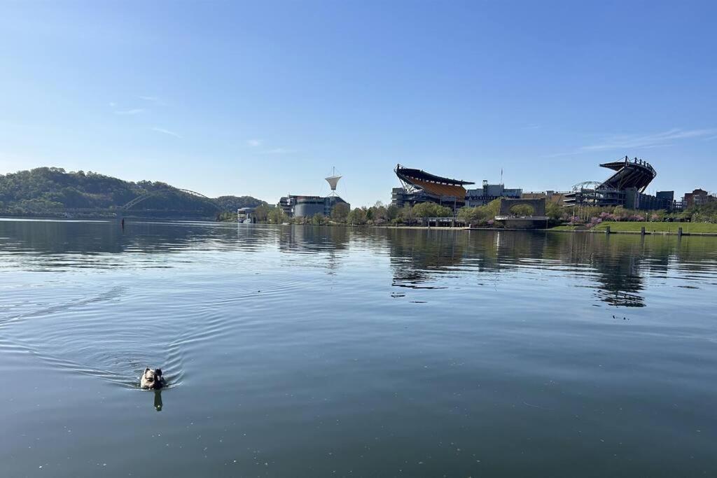 Sprawling Stadium Views Wonderful Location 24-7 Parking Gym Lounge Pittsburgh Eksteriør bilde